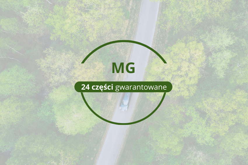 MG